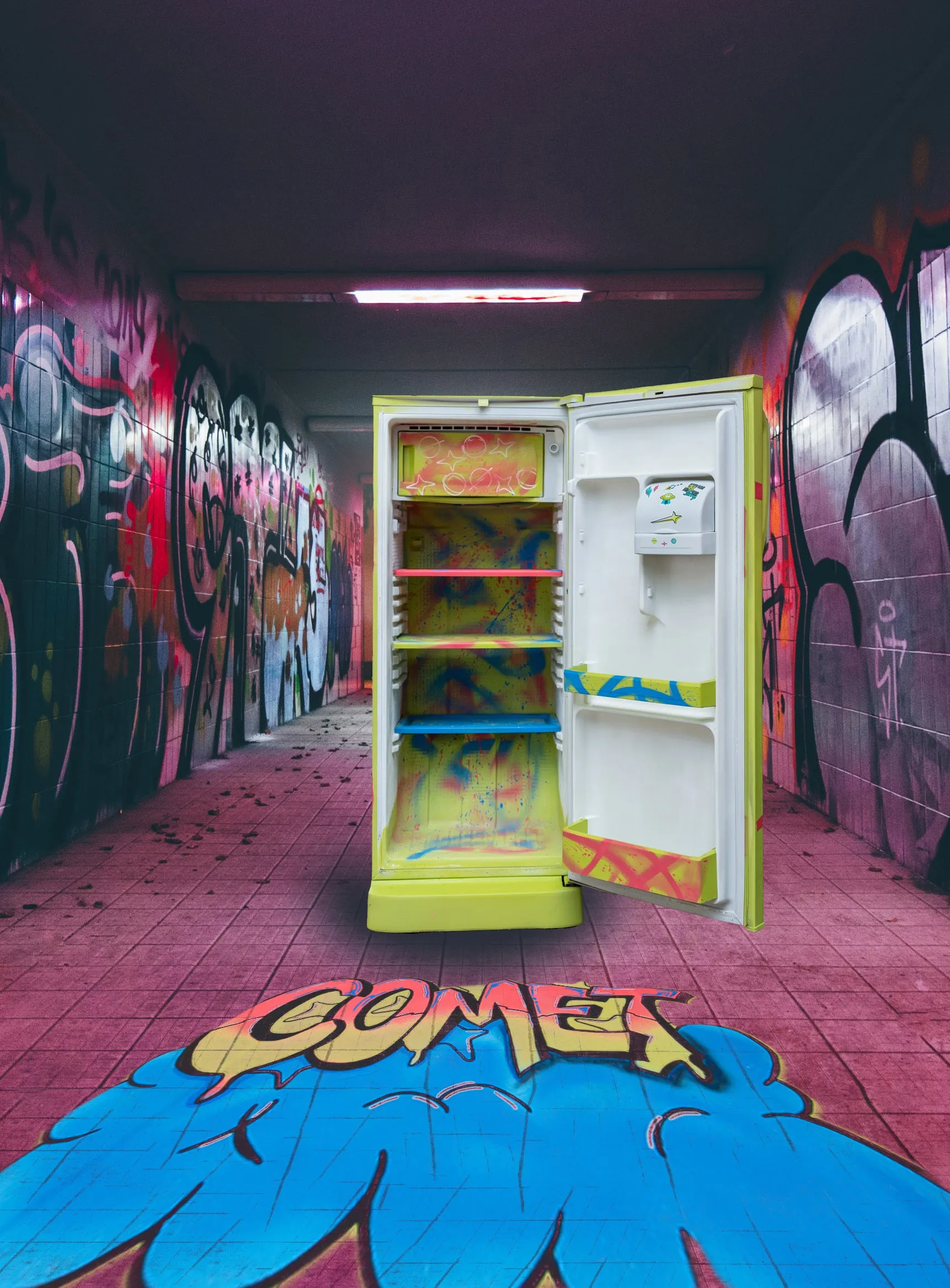 Sneaker Fridge