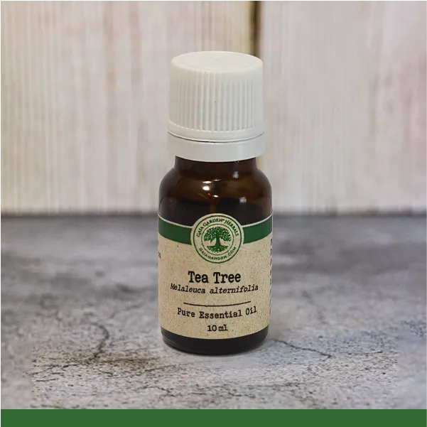 Tea Tree (Melaleuca alternifolia) - Essential Oil