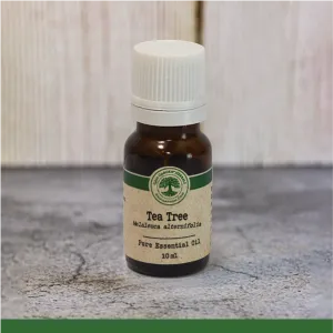 Tea Tree (Melaleuca alternifolia) - Essential Oil